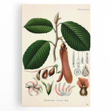 Vintage Botanical Illustration Art | Nature-Inspired Wall Art