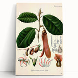 Vintage Botanical Illustration Art | Nature-Inspired Wall Art