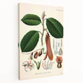 Vintage Botanical Illustration Art | Nature-Inspired Wall Art
