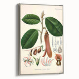 Vintage Botanical Illustration Art | Nature-Inspired Wall Art