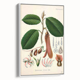 Vintage Botanical Illustration Art | Nature-Inspired Wall Art