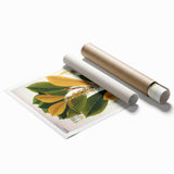 Vintage Botanical Illustration Art | Palquium Tree Wall Art