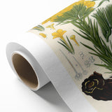 Vintage Botanical Art Print – Macrotomia Cephalotes Yellow Flowers