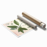 Vintage Botanical Art Print - Cephaelis Ipecacuanha Ipecac Illustration