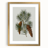 Vintage Botanical Pine Cone Art Print – Nature-Inspired Botanical Wall Art