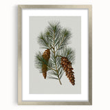 Vintage Botanical Pine Cone Art Print – Nature-Inspired Botanical Wall Art