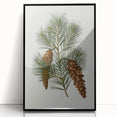 Vintage Botanical Pine Cone Art Print – Nature-Inspired Botanical Wall Art