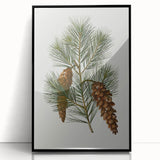 Vintage Botanical Pine Cone Art Print – Nature-Inspired Botanical Wall Art