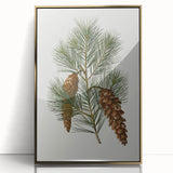 Vintage Botanical Pine Cone Art Print – Nature-Inspired Botanical Wall Art