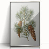 Vintage Botanical Pine Cone Art Print – Nature-Inspired Botanical Wall Art