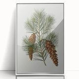 Vintage Botanical Pine Cone Art Print – Nature-Inspired Botanical Wall Art