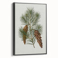 Vintage Botanical Pine Cone Art Print – Nature-Inspired Botanical Wall Art