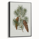 Vintage Botanical Pine Cone Art Print – Nature-Inspired Botanical Wall Art