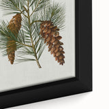 Vintage Botanical Pine Cone Art Print – Nature-Inspired Botanical Wall Art