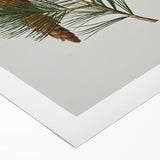 Vintage Botanical Pine Cone Art Print – Nature-Inspired Botanical Wall Art