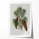 Vintage Botanical Pine Cone Art Print – Nature-Inspired Botanical Wall Art