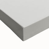 Vintage Botanical Pine Cone Art Print – Nature-Inspired Botanical Wall Art