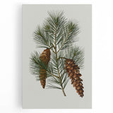 Vintage Botanical Pine Cone Art Print – Nature-Inspired Botanical Wall Art