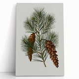 Vintage Botanical Pine Cone Art Print – Nature-Inspired Botanical Wall Art