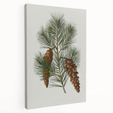 Vintage Botanical Pine Cone Art Print – Nature-Inspired Botanical Wall Art
