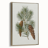 Vintage Botanical Pine Cone Art Print – Nature-Inspired Botanical Wall Art