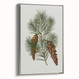 Vintage Botanical Pine Cone Art Print – Nature-Inspired Botanical Wall Art