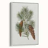 Vintage Botanical Pine Cone Art Print – Nature-Inspired Botanical Wall Art