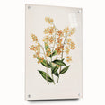 Vintage Botanical Orchid Art Print – Nature-Inspired Botanical Wall Art