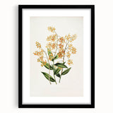 Vintage Botanical Orchid Art Print – Nature-Inspired Botanical Wall Art