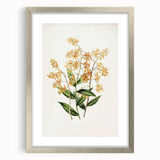 Vintage Botanical Orchid Art Print – Nature-Inspired Botanical Wall Art