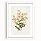 Vintage Botanical Orchid Art Print – Nature-Inspired Botanical Wall Art