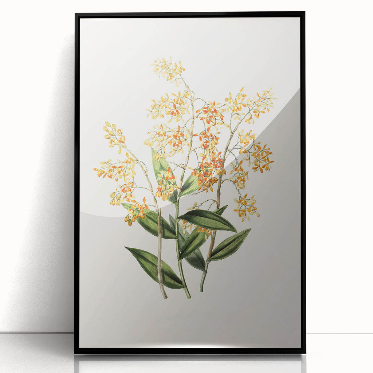 Vintage Botanical Orchid Art Print – Nature-Inspired Botanical Wall Art