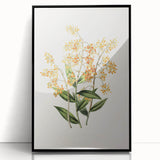 Vintage Botanical Orchid Art Print – Nature-Inspired Botanical Wall Art