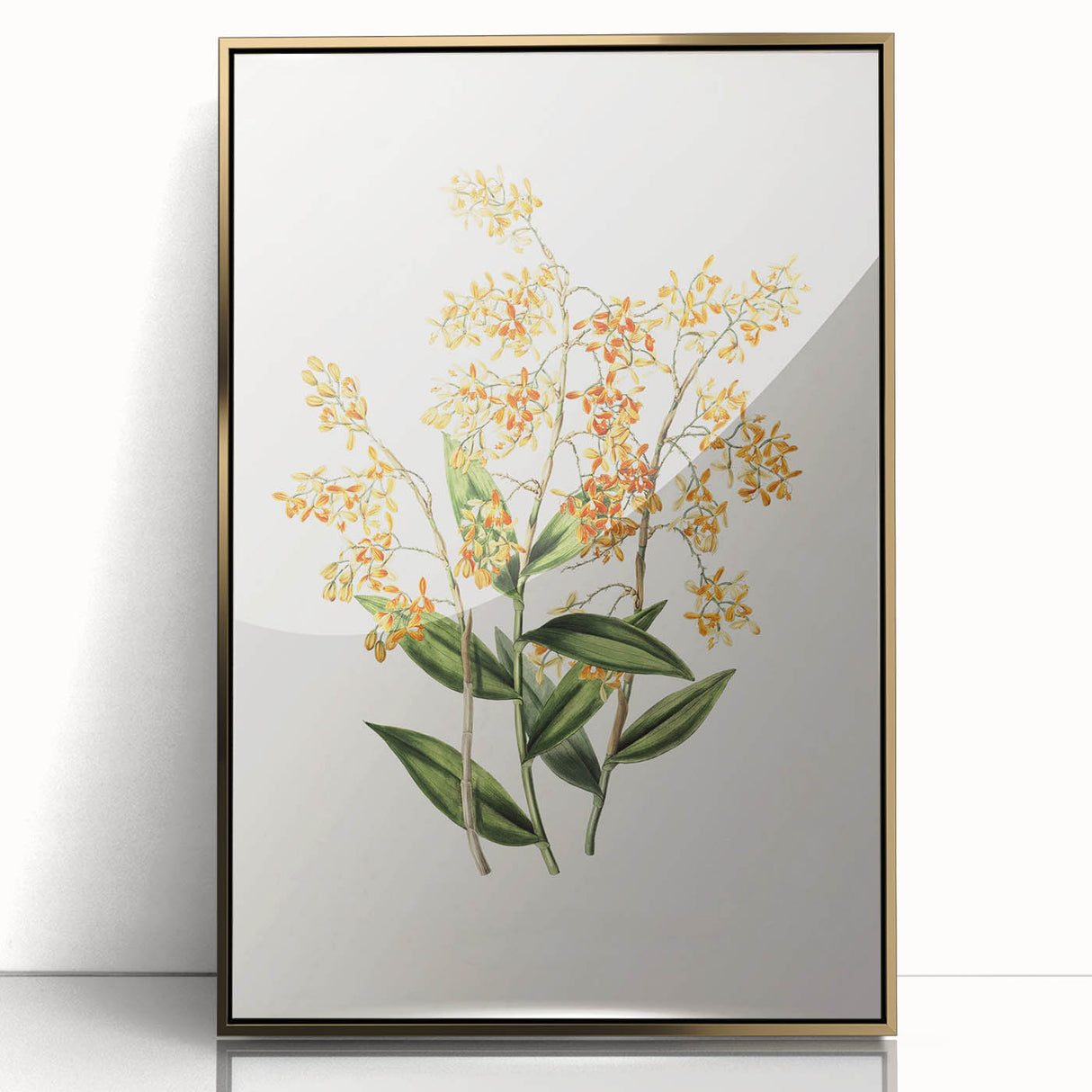 Vintage Botanical Orchid Art Print – Nature-Inspired Botanical Wall Art