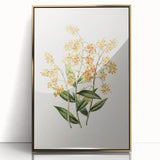 Vintage Botanical Orchid Art Print – Nature-Inspired Botanical Wall Art
