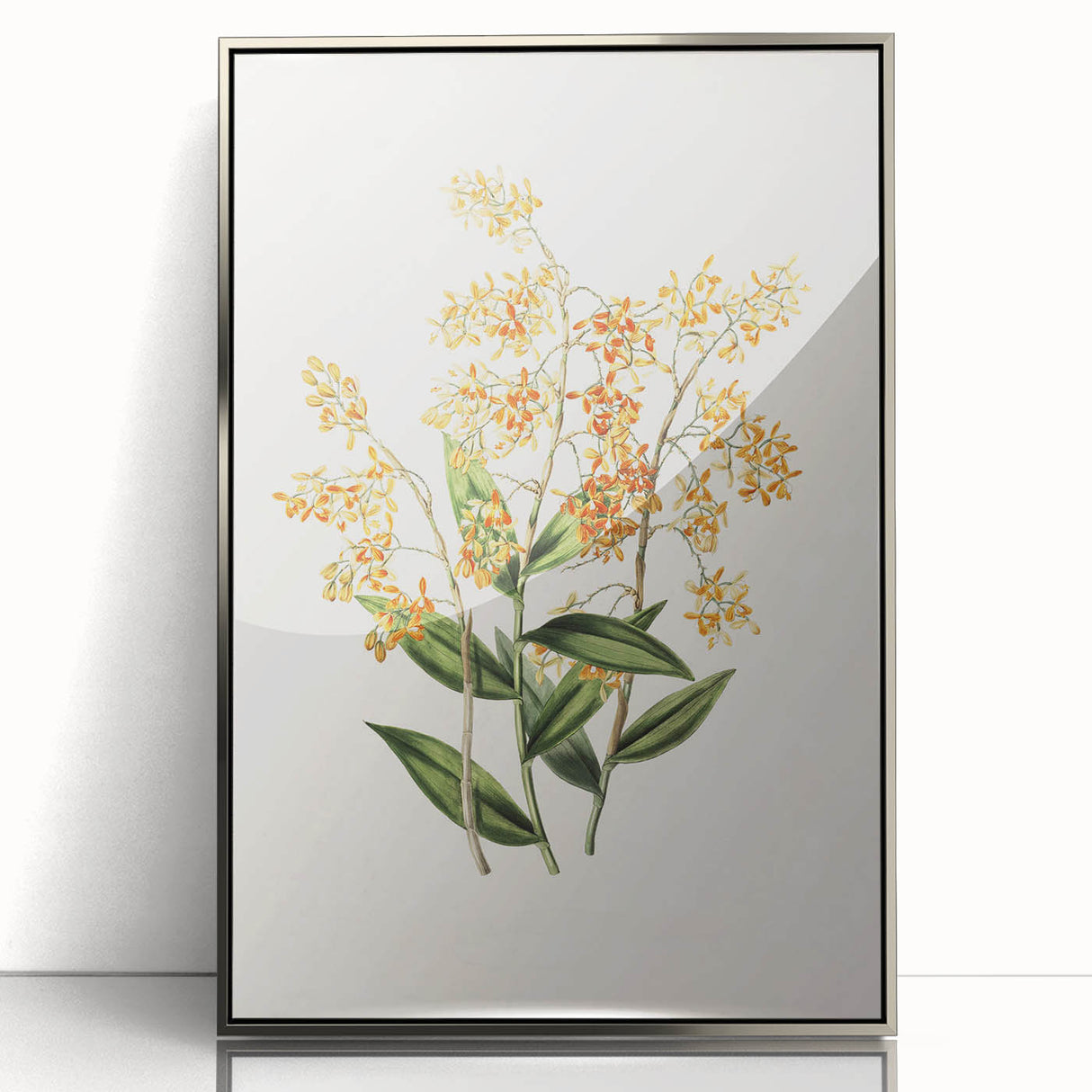Vintage Botanical Orchid Art Print – Nature-Inspired Botanical Wall Art