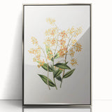 Vintage Botanical Orchid Art Print – Nature-Inspired Botanical Wall Art