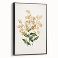 Vintage Botanical Orchid Art Print – Nature-Inspired Botanical Wall Art