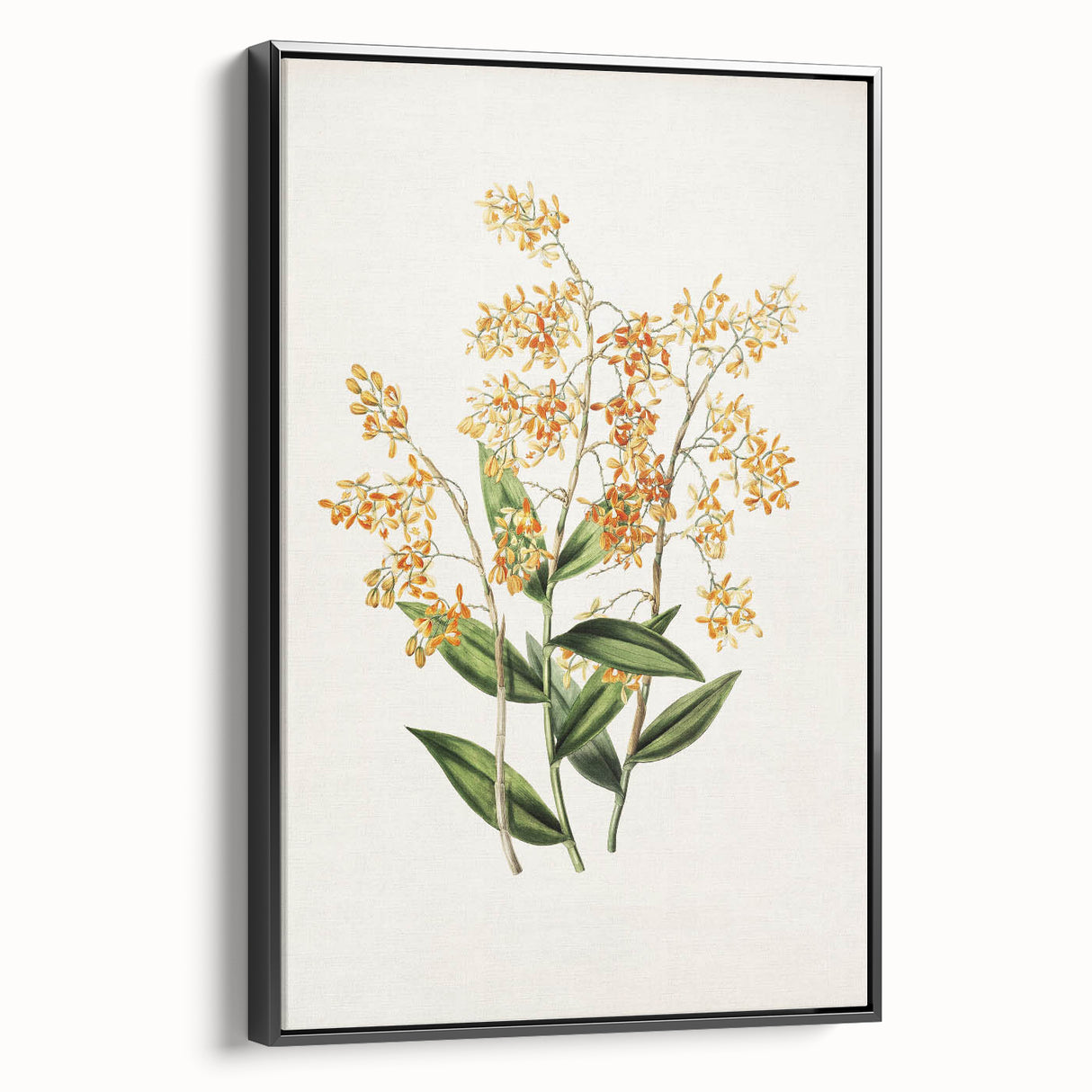 Vintage Botanical Orchid Art Print – Nature-Inspired Botanical Wall Art