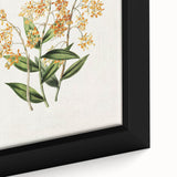 Vintage Botanical Orchid Art Print – Nature-Inspired Botanical Wall Art