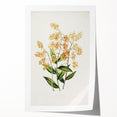 Vintage Botanical Orchid Art Print – Nature-Inspired Botanical Wall Art