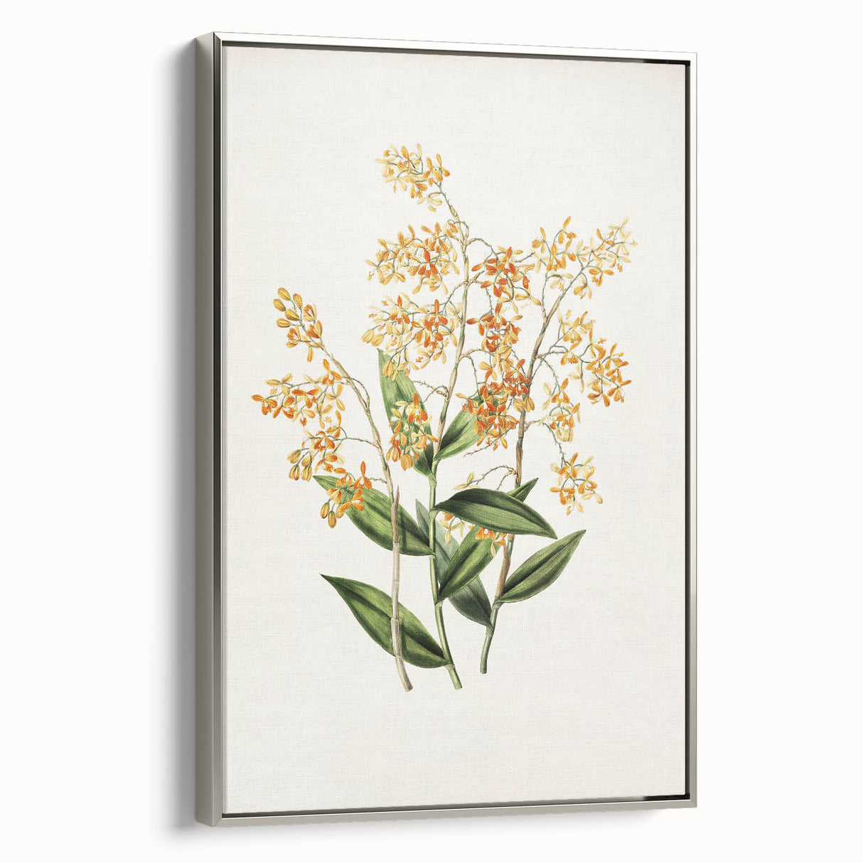 Vintage Botanical Orchid Art Print – Nature-Inspired Botanical Wall Art