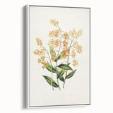 Vintage Botanical Orchid Art Print – Nature-Inspired Botanical Wall Art