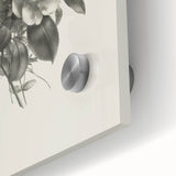 Vintage Botanical Rose Art Print – Black and White Botanical Wall Art