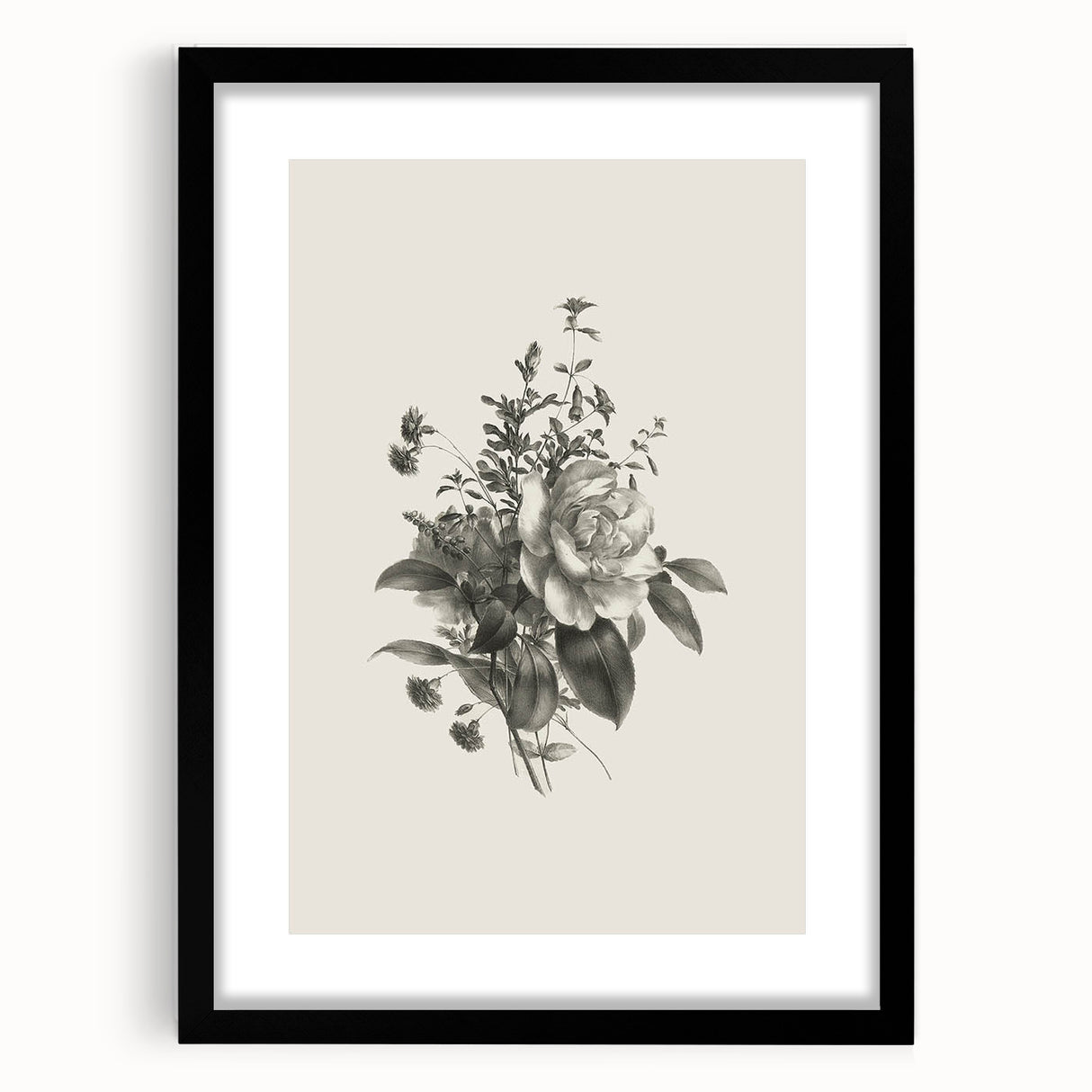 Vintage Botanical Rose Art Print – Black and White Botanical Wall Art