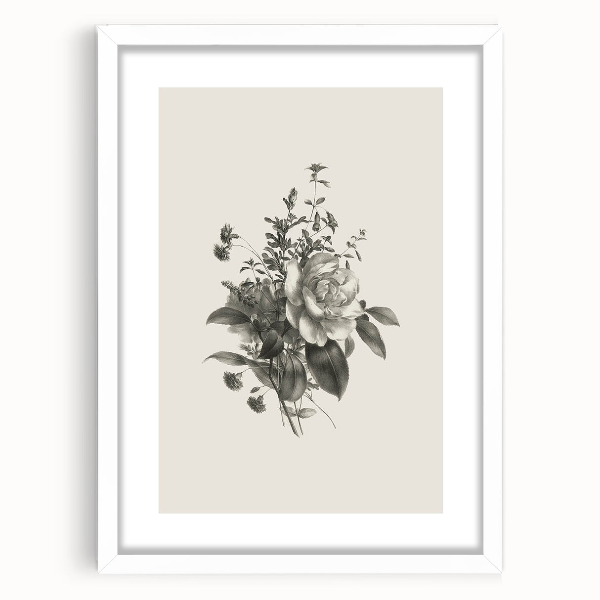 Vintage Botanical Rose Art Print – Black and White Botanical Wall Art