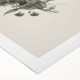 Vintage Botanical Rose Art Print – Black and White Botanical Wall Art