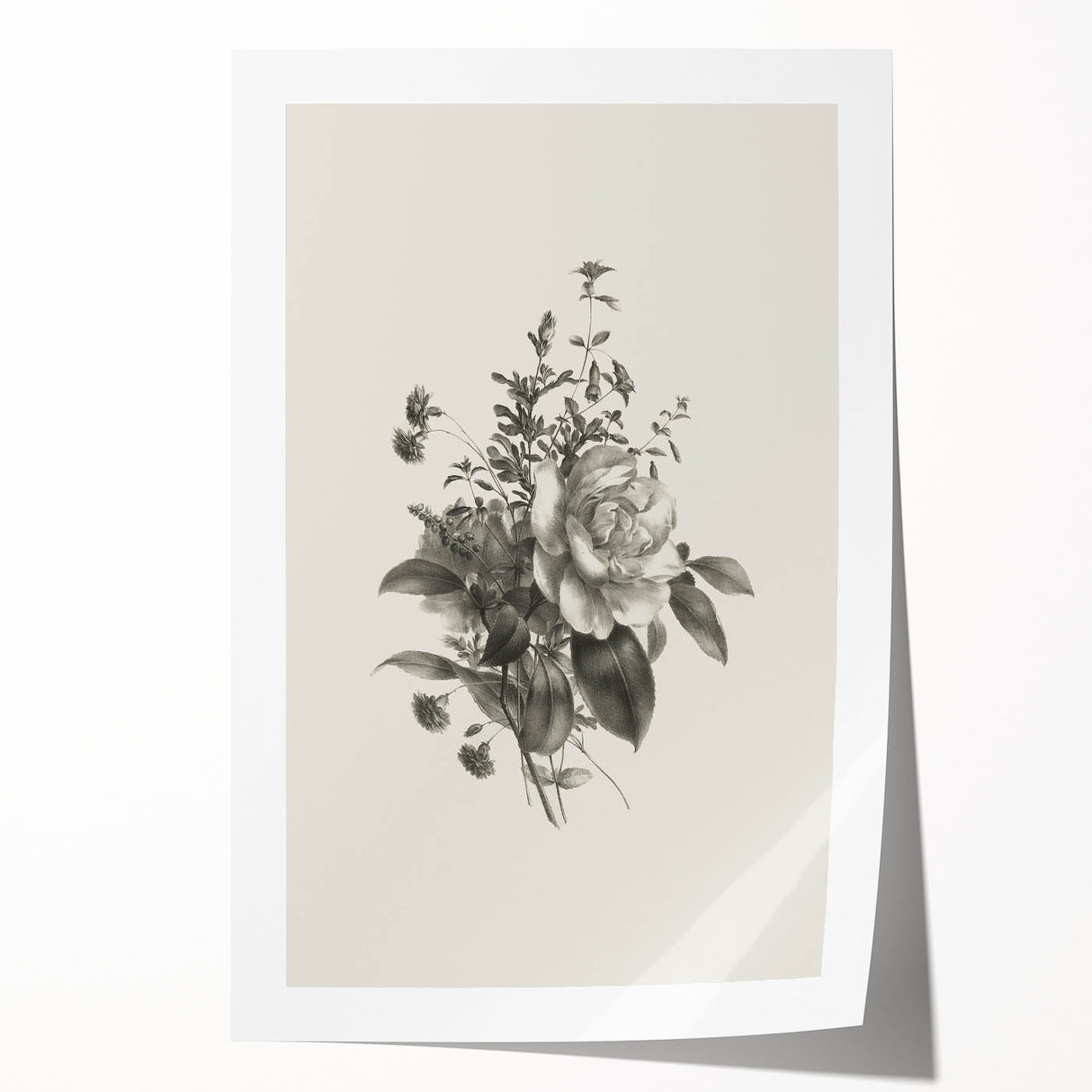 Vintage Botanical Rose Art Print – Black and White Botanical Wall Art