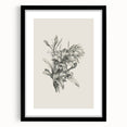 Vintage Botanical Flower Art Print – Black and White Floral Wall Art