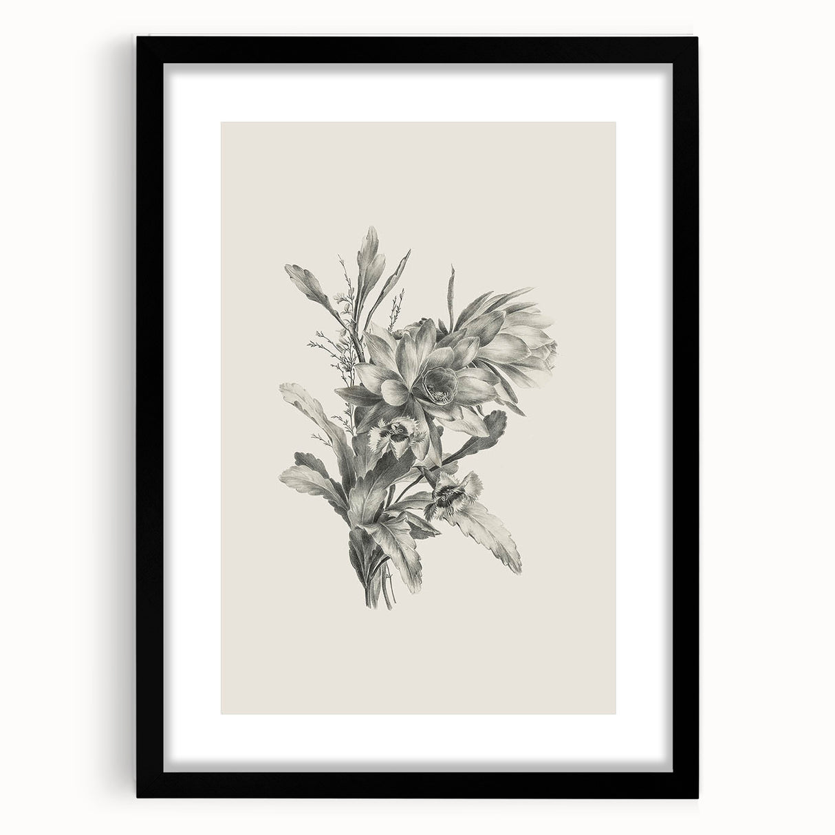 Vintage Botanical Flower Art Print – Black and White Floral Wall Art